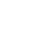MODEL01