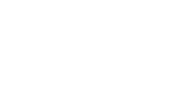 INSIDE VOICE