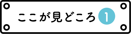 ここが見どころ➀