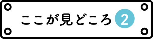 ここが見どころ➁