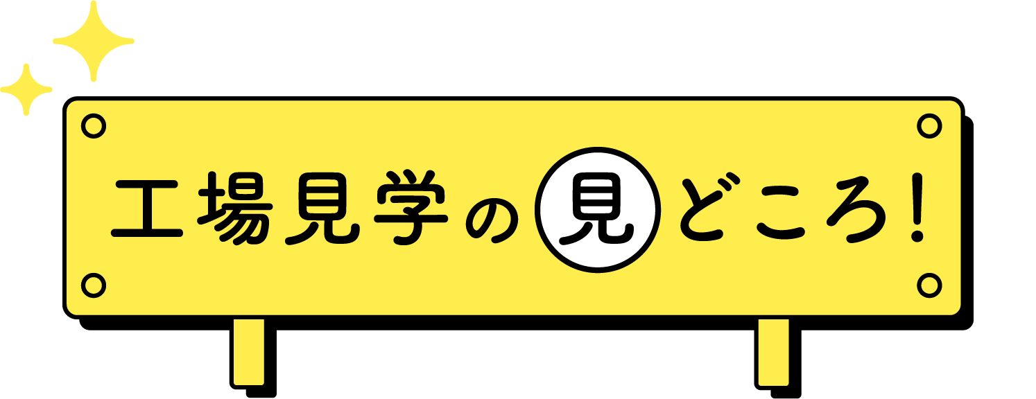 工場見学の見どころ
