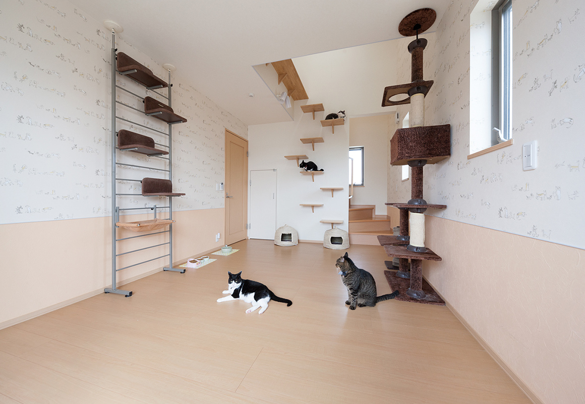 階段と吹き抜けを活用した専用キャットルームがある3階建て