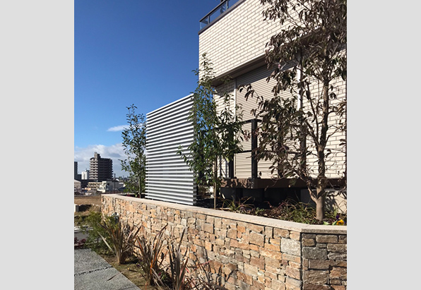 Design Policy 1.ダミー