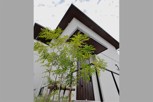 Design Policy 2.ダミー