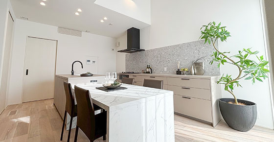 トヨタホームタウン草津野路町内観