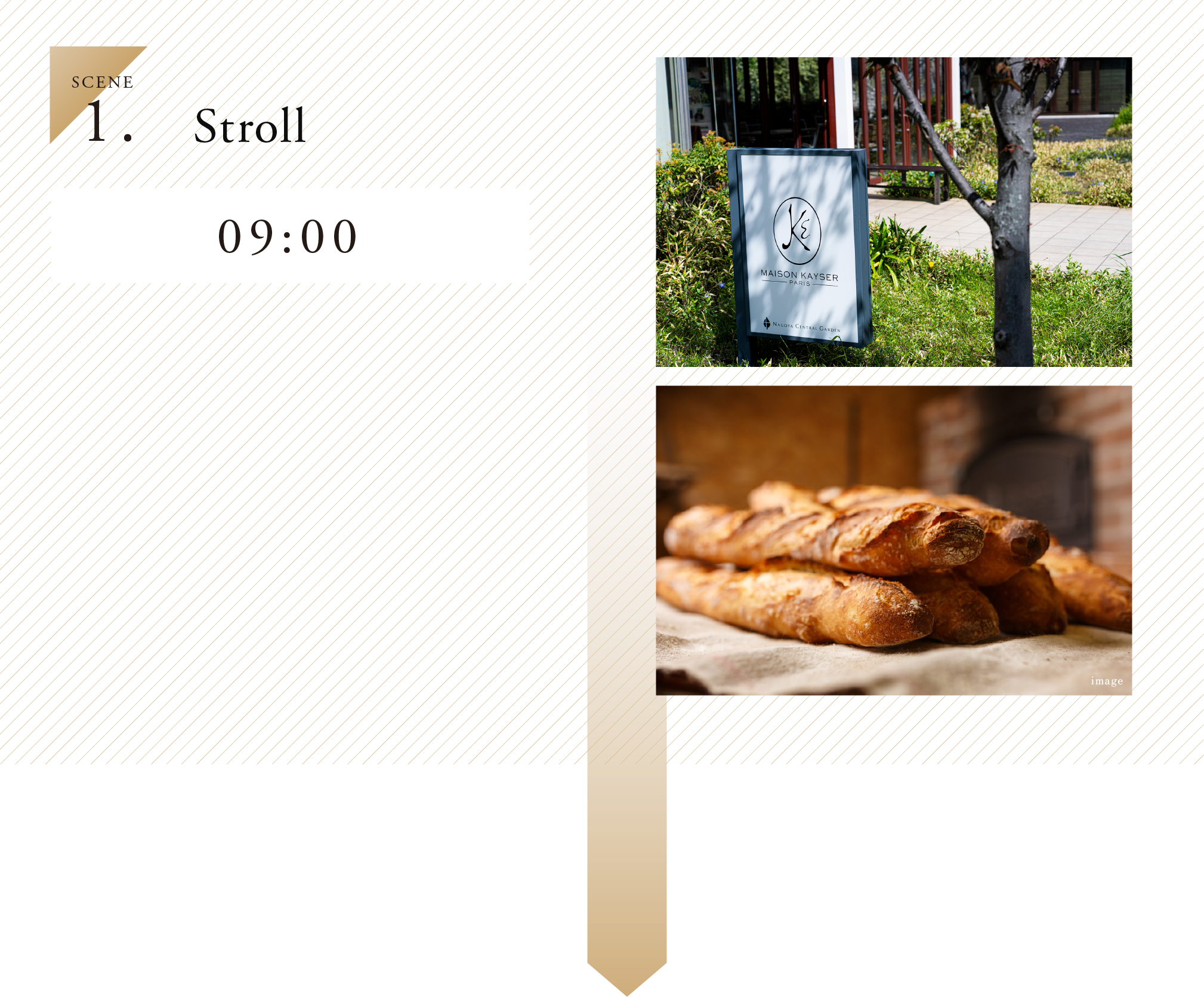 1.SCENE Stroll 09:00