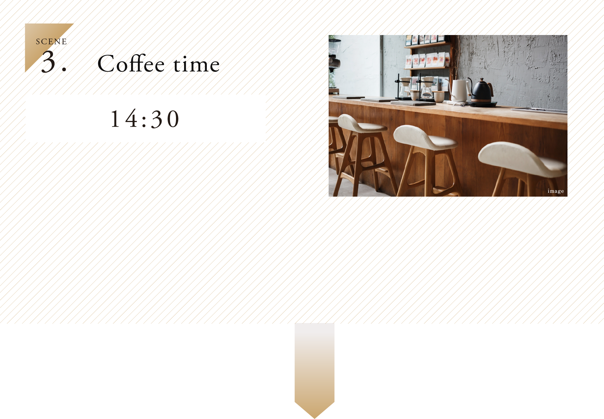 3.SCENE Dinner 20:00