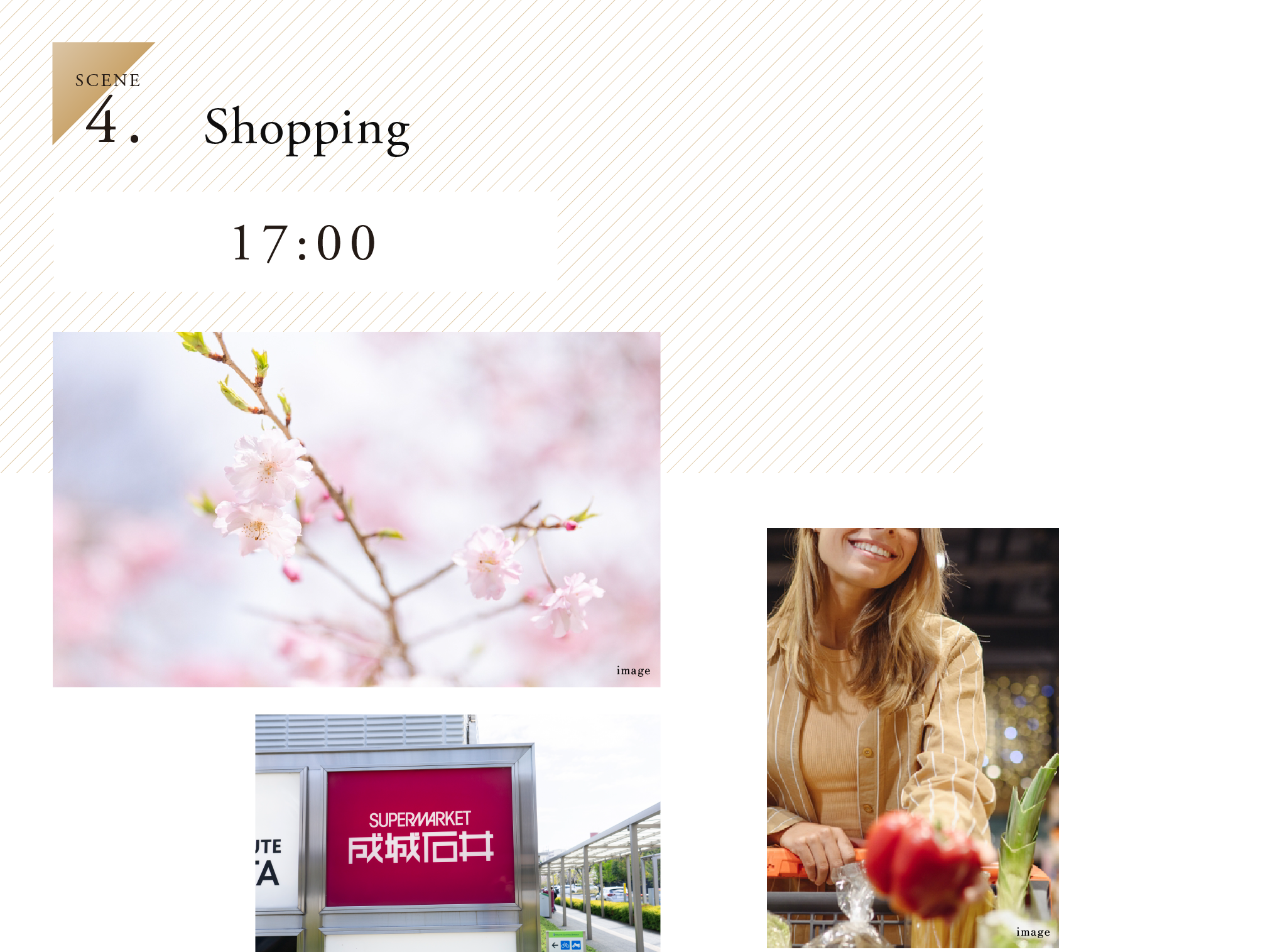4.SCENE Shopping 17:00
