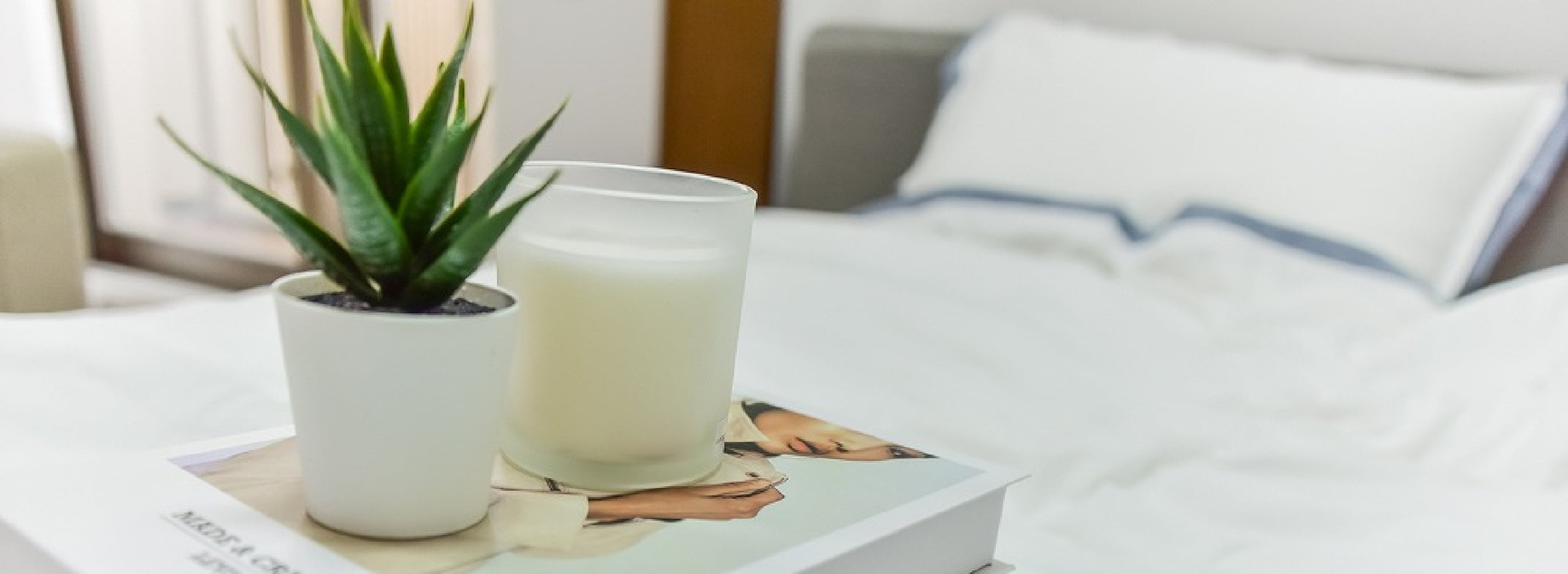 フォトギャラリー