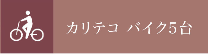 カリテコ バイク5台
