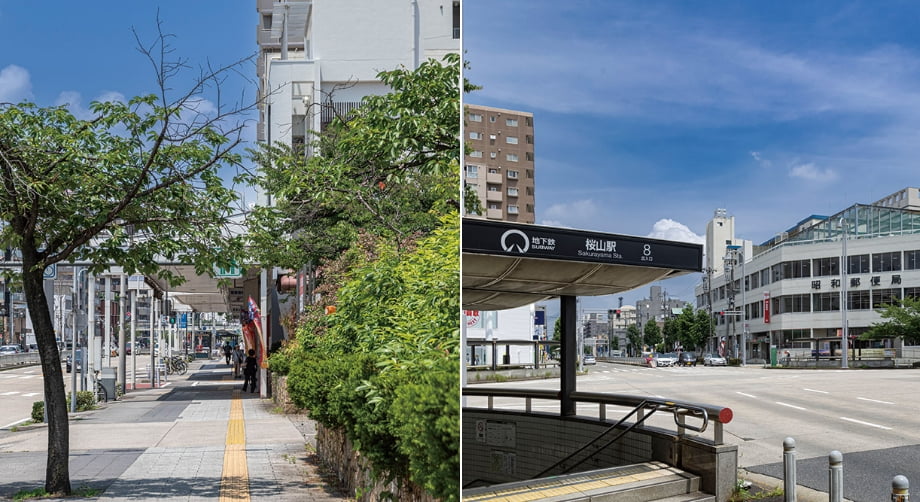 瑞穂通商店街・桜山商店街