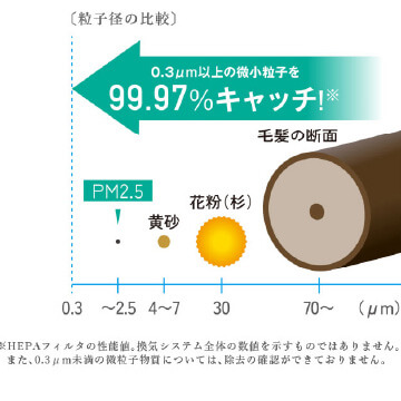 ピュア24セントラル