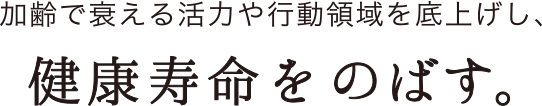 加齢で衰える活力や行動領域を底上げし、健康寿命をのばす。