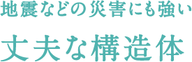 地震などの災害にも強い丈夫な構造体