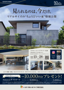 リアルサイズの"ちょうどいい家"特別公開！見られるのは今だけ！